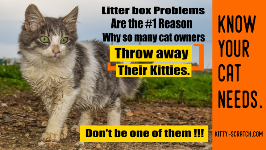 Why my cat doesn’t use the litter box